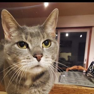 Meet your Posher, Susan